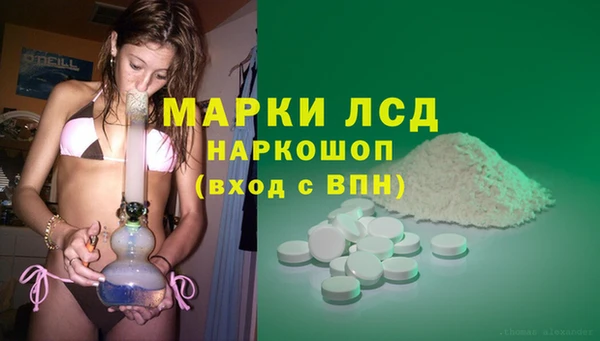 ГАЛЛЮЦИНОГЕННЫЕ ГРИБЫ Гусев