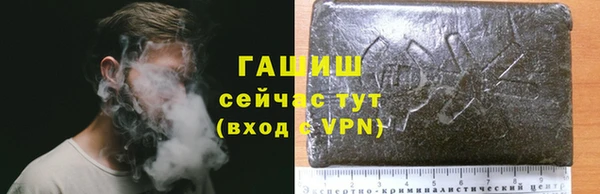 ГАЛЛЮЦИНОГЕННЫЕ ГРИБЫ Гусев