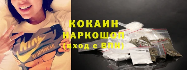 соль ск Новокубанск