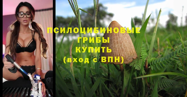 дмт Гусиноозёрск