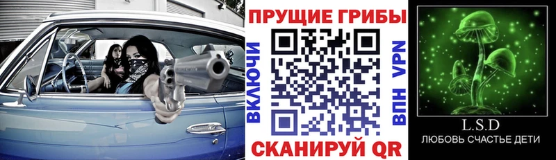 Галлюциногенные грибы GOLDEN TEACHER Похвистнево
