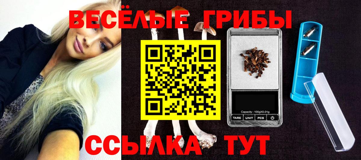 Галлюциногенные грибы Cubensis Похвистнево