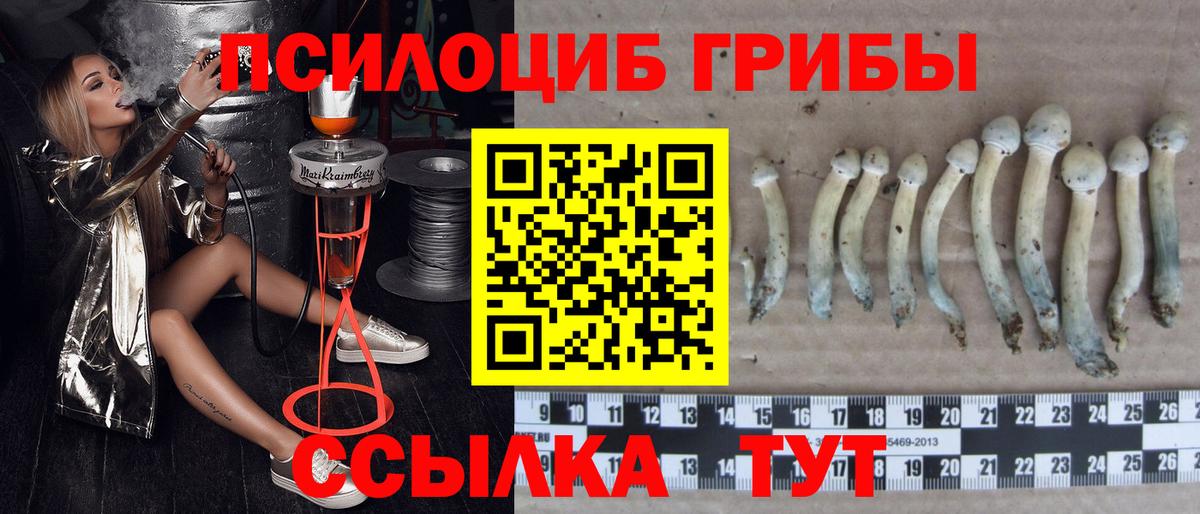Галлюциногенные грибы Cubensis  Галлюциногенные грибы Magic Shrooms  купить  сайты  Вход с VPN  Похвистнево 